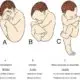 Bébé en siège