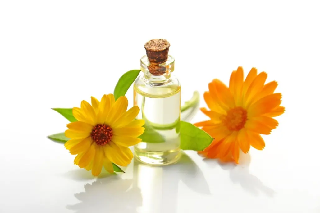 Ateliers aroma en entreprise