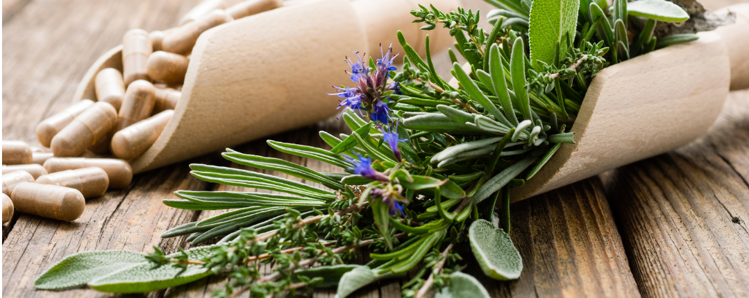 Plantes en gélules grossesse