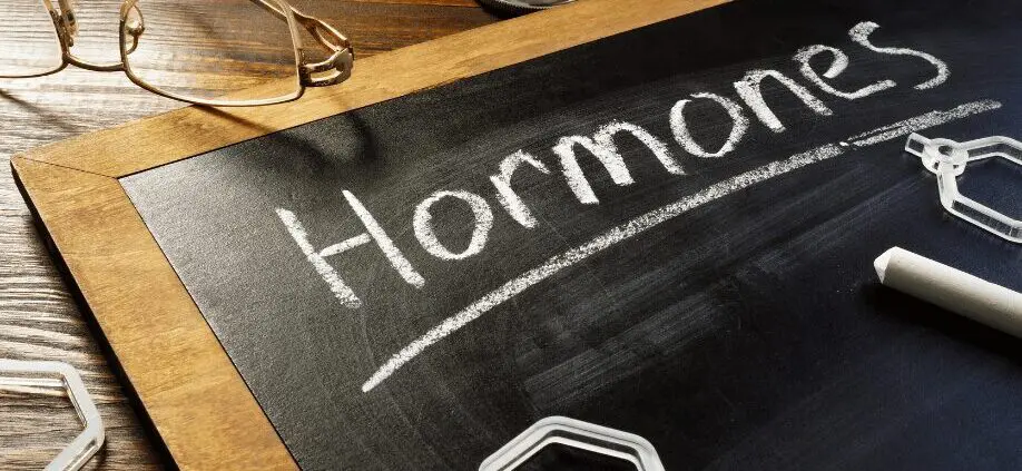 Santé de la femme et équilibre du cycle menstruel