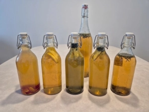 Recettes de kombucha fait maison
