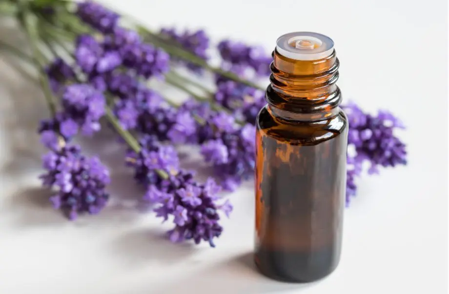Les huiles essentielles en cas d'acouphènes Les huiles essentielles en cas d'acouphènes